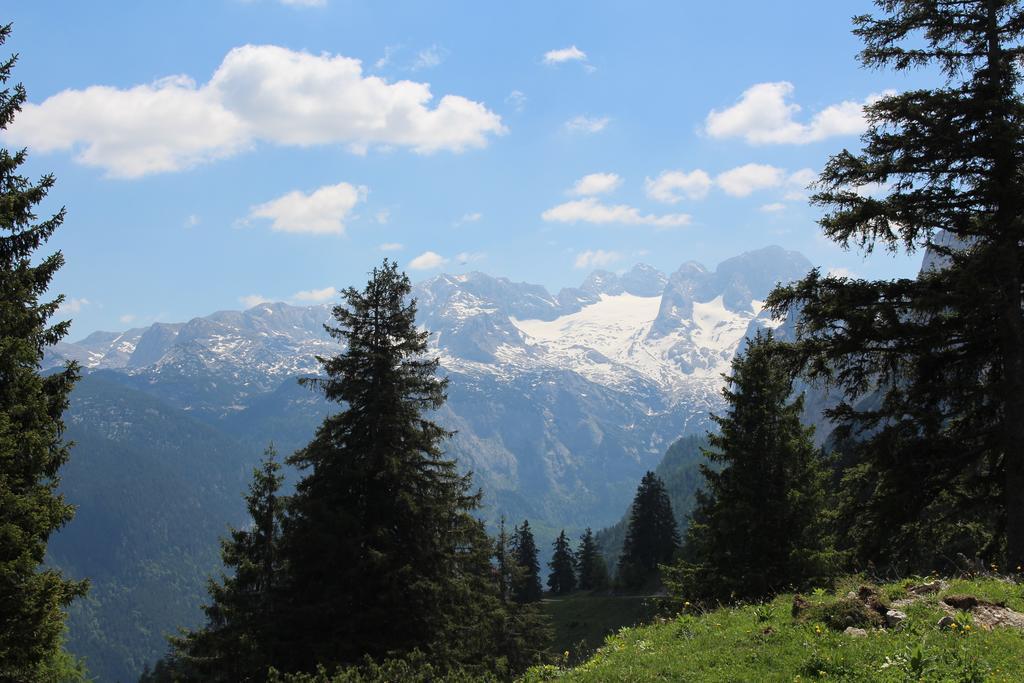 Salzburger Dolomitenhof Annaberg im Lammertal Exterior foto